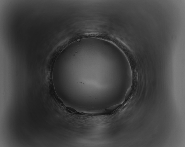 X0000100781351200806191254