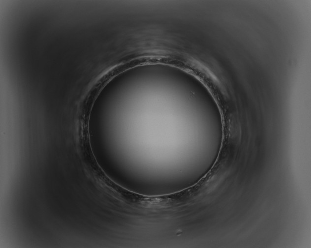 X0000100781352200806191254