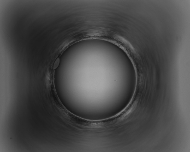 X0000100781353200806191254