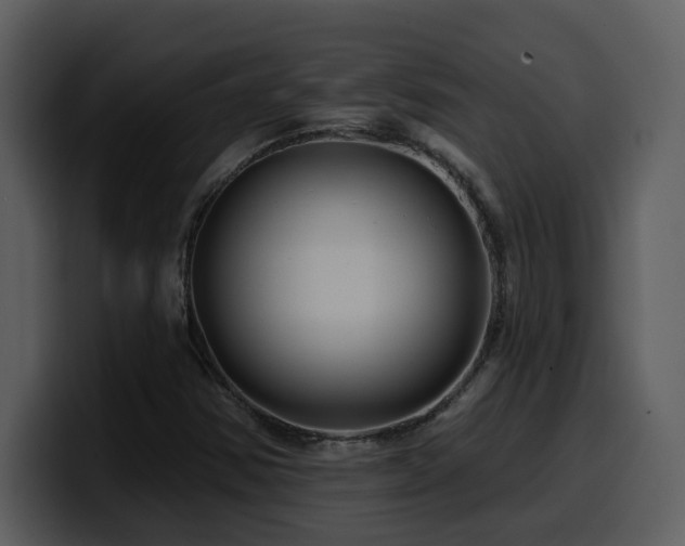 X0000100781354200806191254