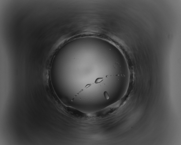 X0000100781355200806191254