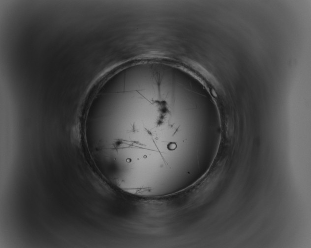 X0000100781356200806191254