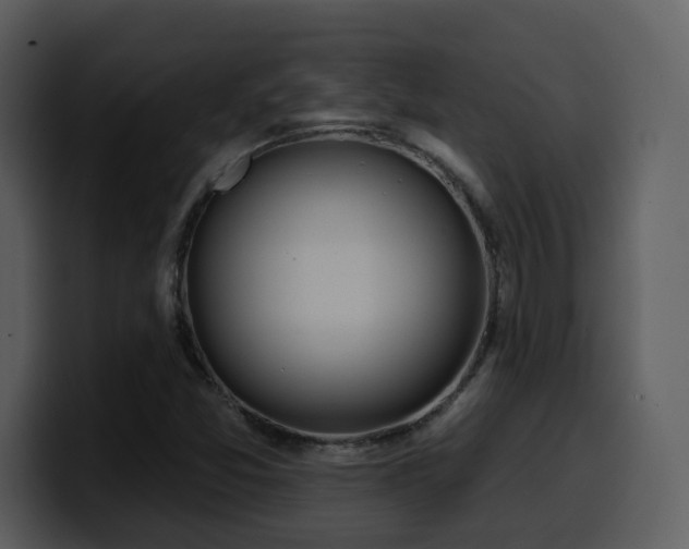 X0000100781357200806191253