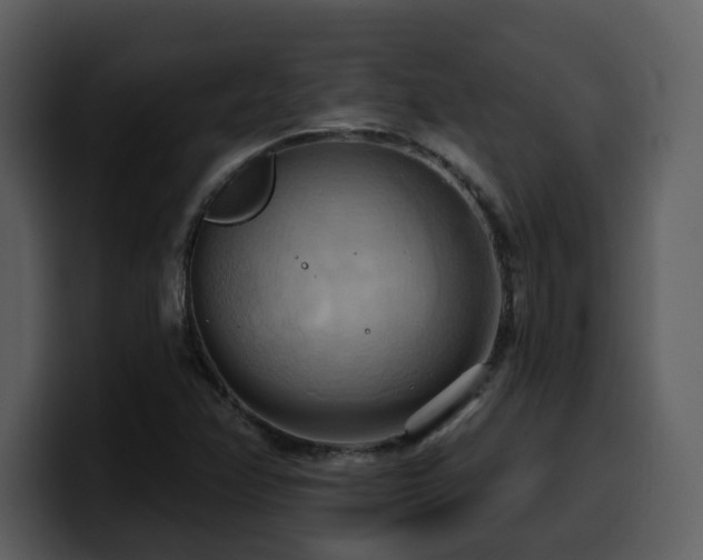 X0000100781358200806191253