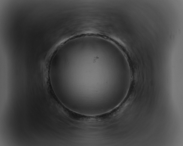 X0000100781359200806191253