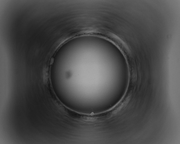 X0000100781361200806191253