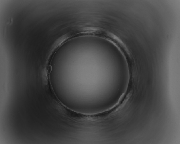 X0000100781362200806191253