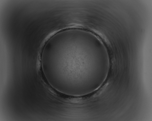 X0000100781363200806191253