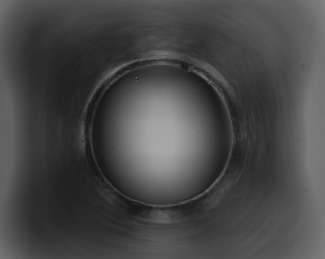 X0000100781364200806191253