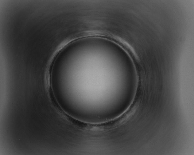 X0000100781365200806191253