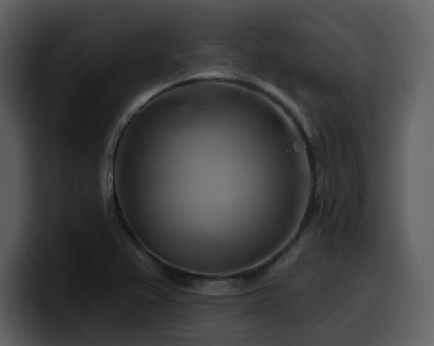 X0000100781367200806191253