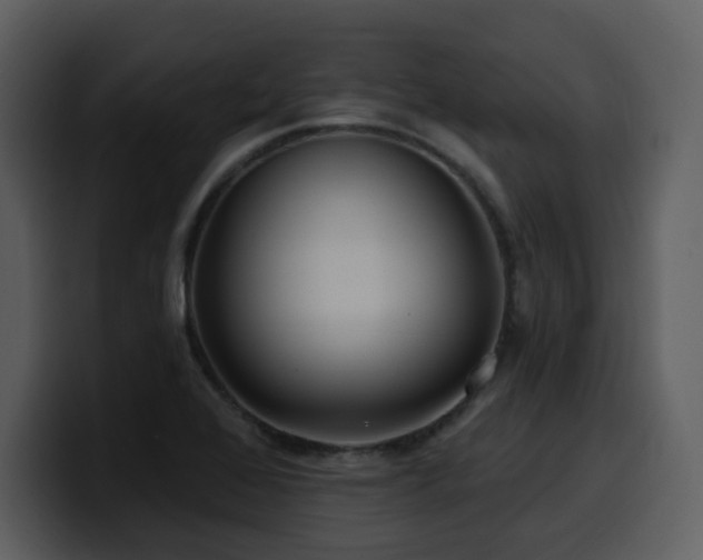 X0000100781368200806191253