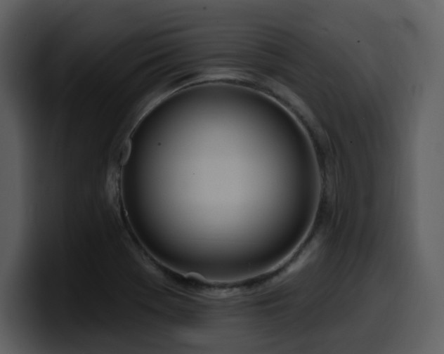 X0000100781369200806191253