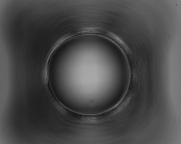 X0000100781370200806191253