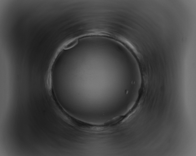 X0000100781371200806191253