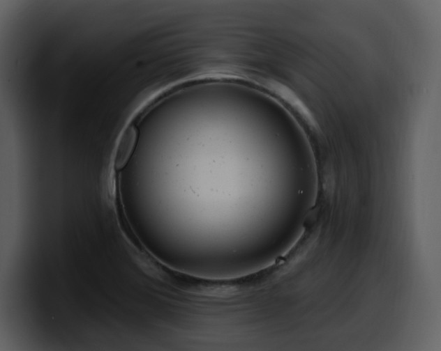 X0000100781372200806191253