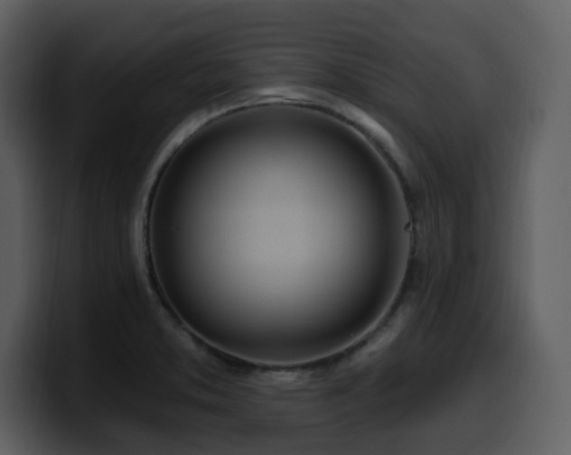 X0000100781373200806191253