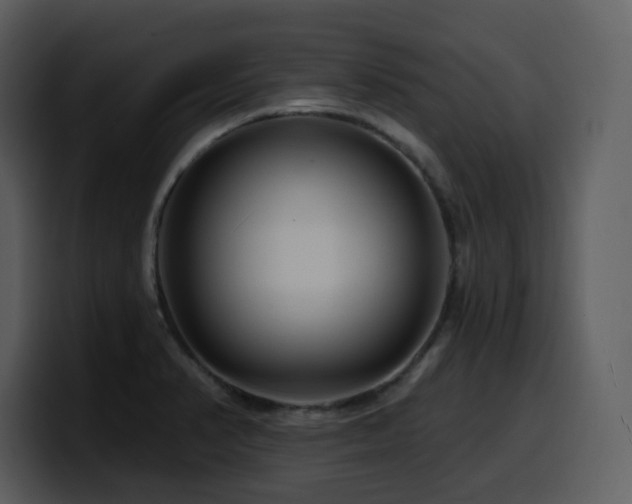 X0000100781374200806191253