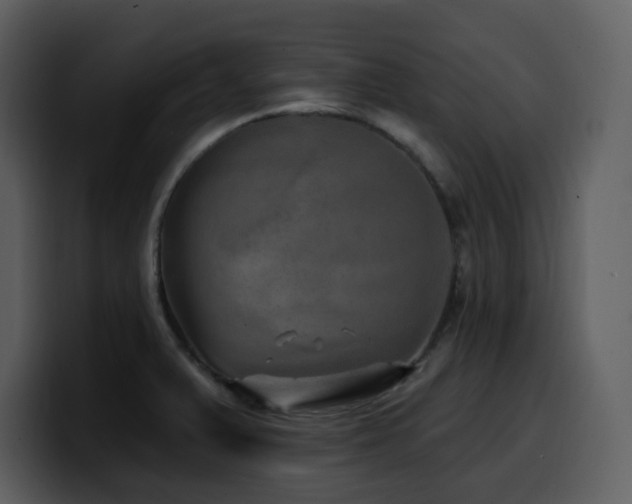 X0000100781375200806191253