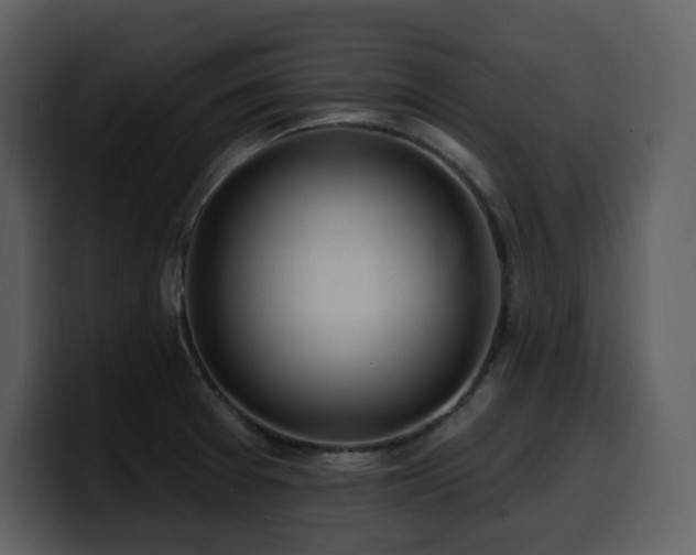 X0000100781377200806191253