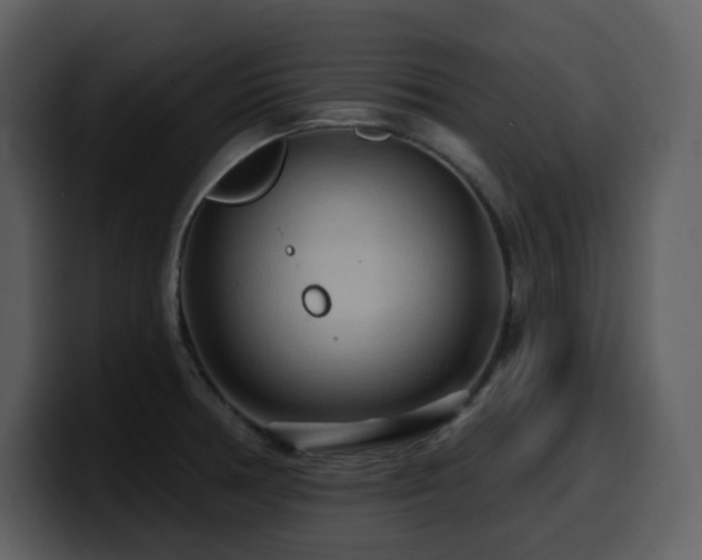 X0000100781378200806191253