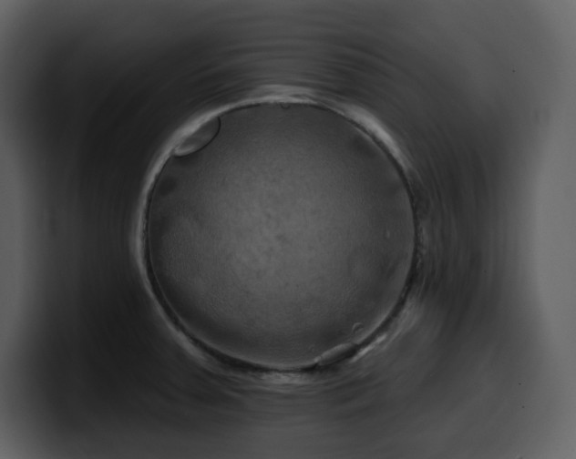 X0000100781379200806191253