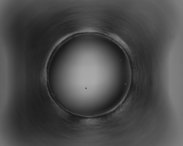 X0000100781380200806191253