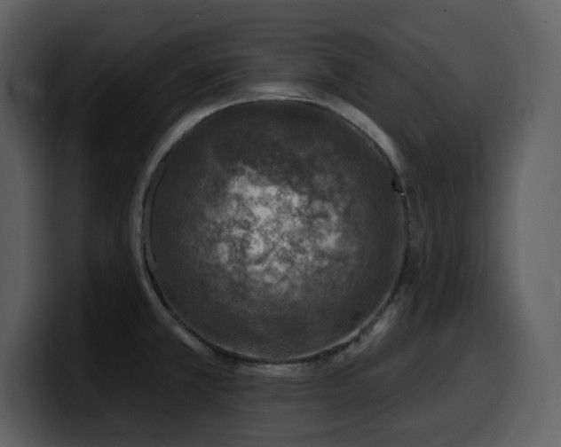 X0000100781381200806191253