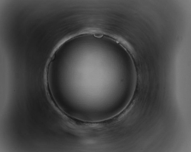 X0000100781382200806191253