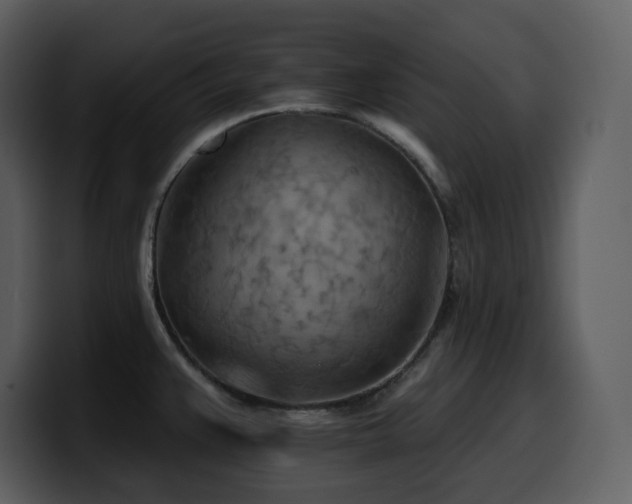 X0000100781383200806191253