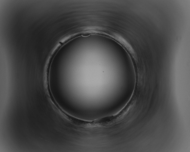 X0000100781384200806191253