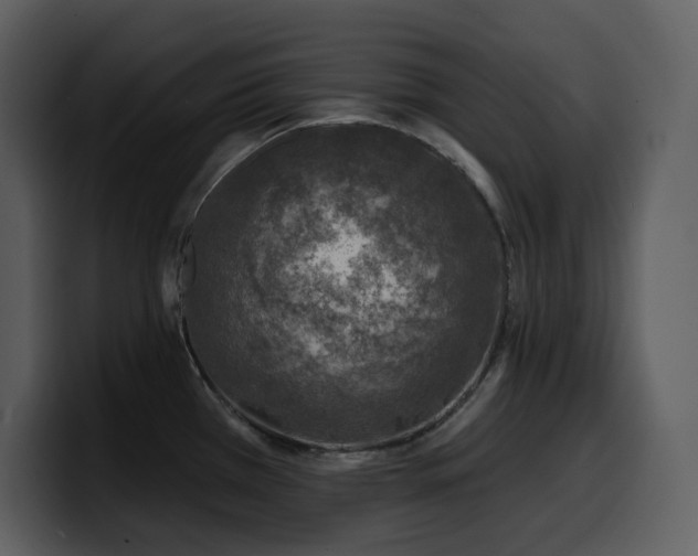 X0000100781385200806191253