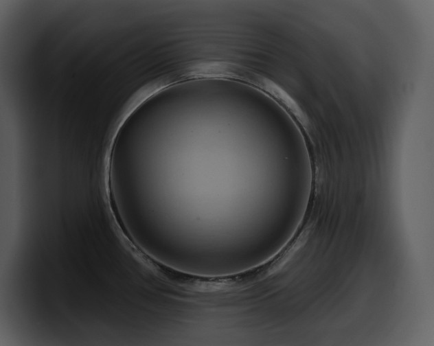 X0000100781386200806191253