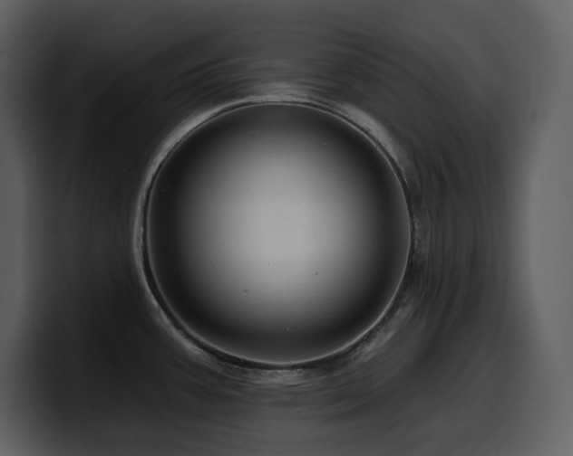 X0000100781387200806191253