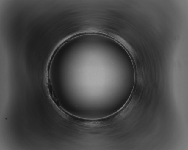 X0000100781388200806191253