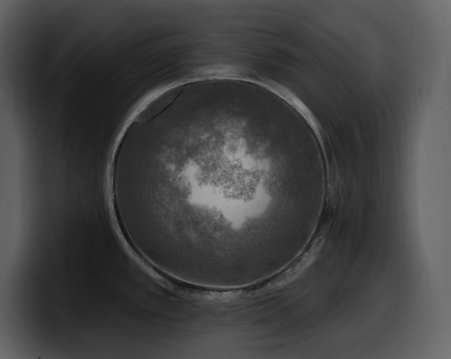 X0000100781389200806191253