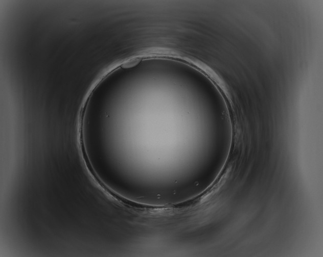 X0000100781390200806191253