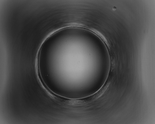 X0000100781391200806191253