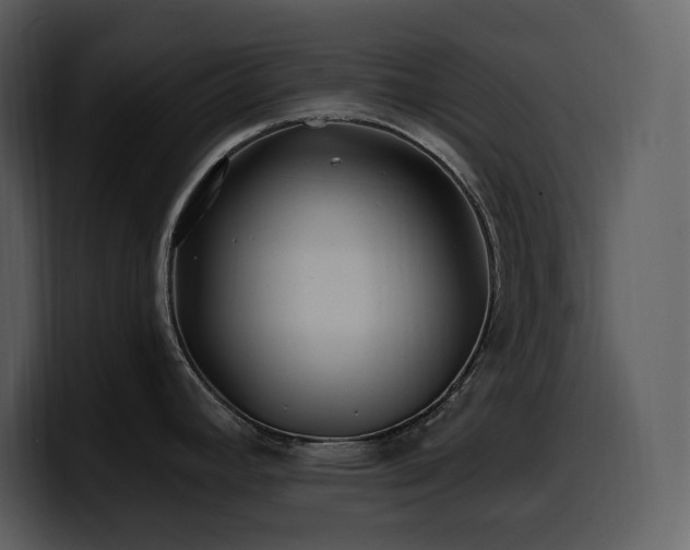 X0000100781392200806191253