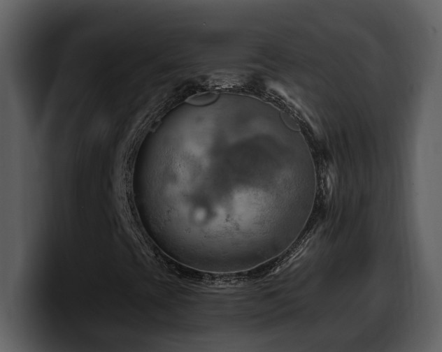 X0000100781393200806191252