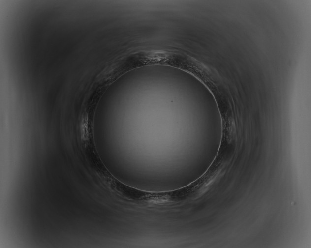 X0000100781394200806191252