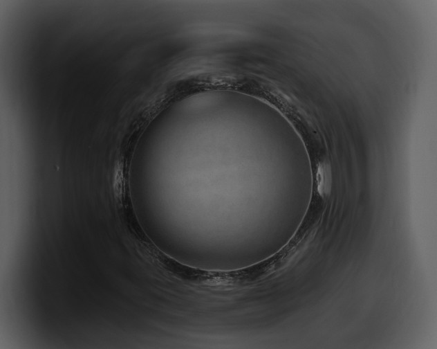 X0000100781395200806191252