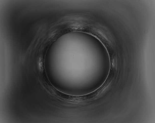 X0000100781396200806191252