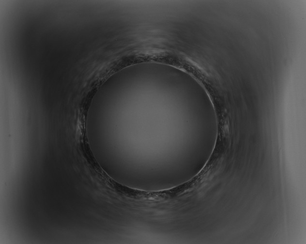 X0000100781397200806191252