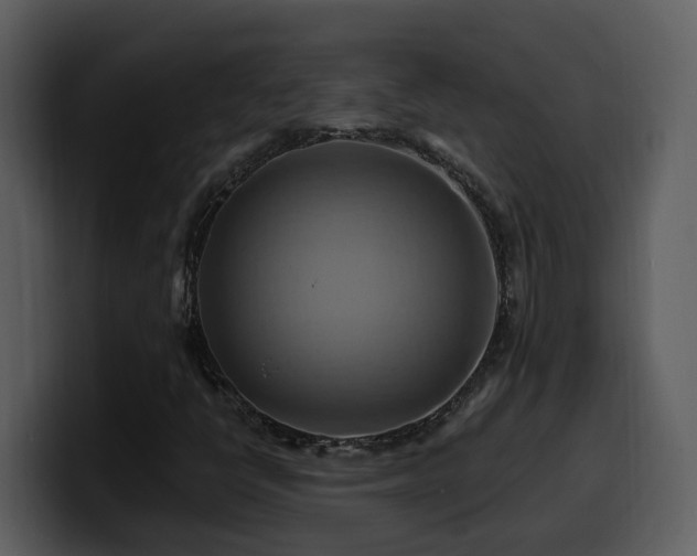 X0000100781398200806191252