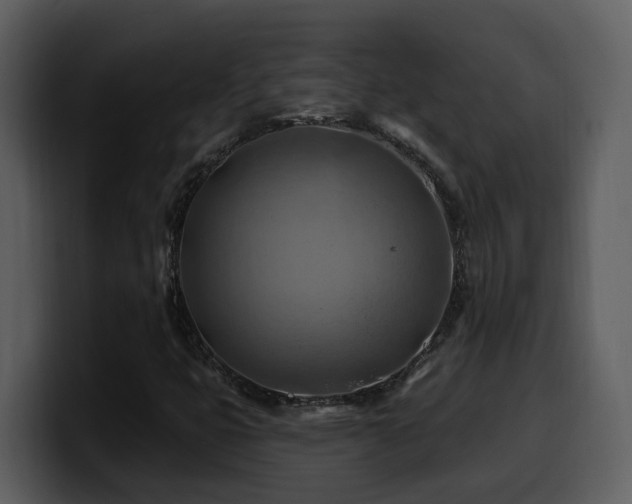 X0000100781399200806191252