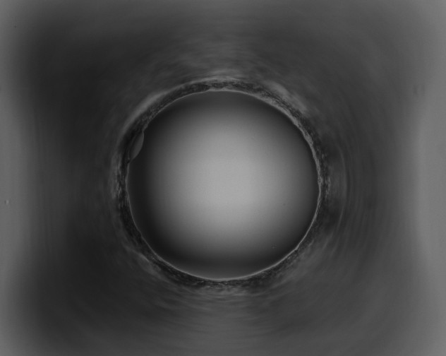 X0000100781400200806191252