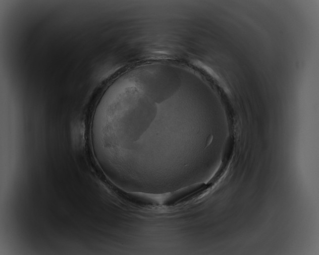 X0000100781402200806191252