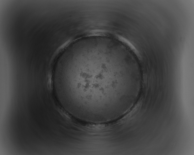 X0000100781403200806191252