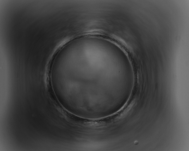 X0000100781405200806191252